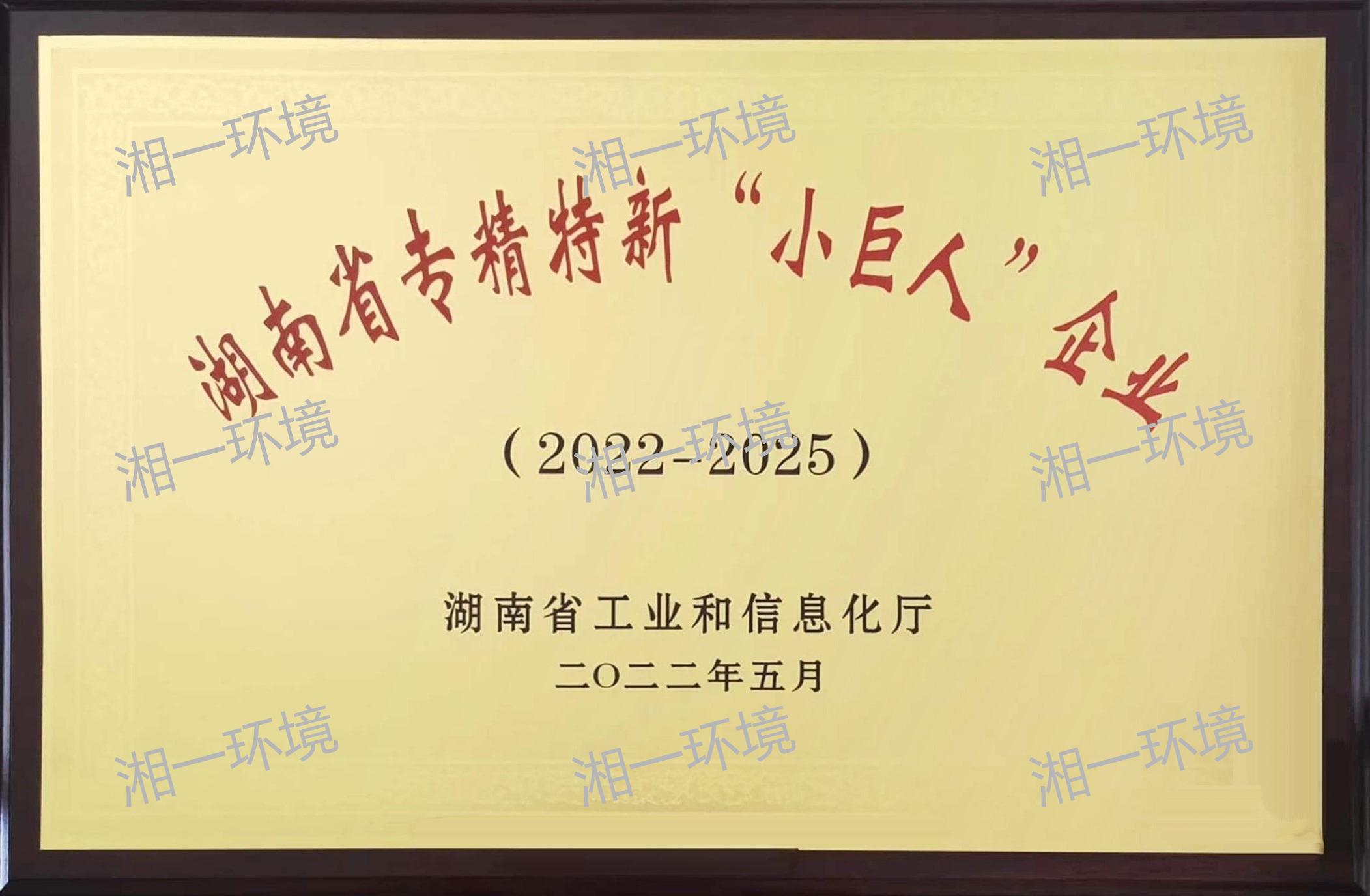 湖南省專精特新“小巨人”企業